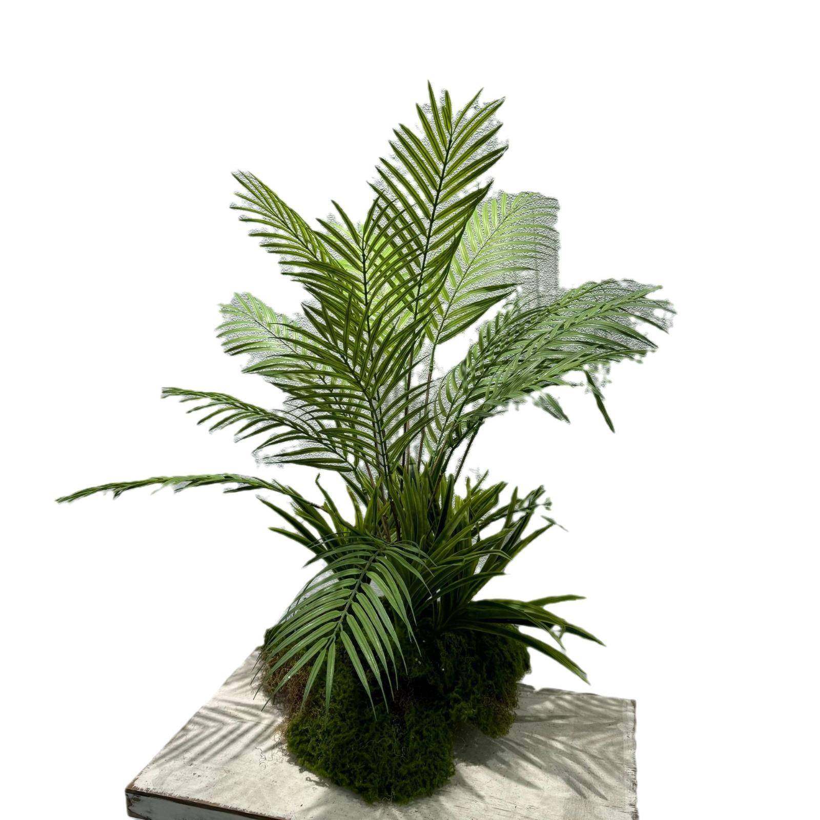 仿真绿植针葵把束棕榈散尾葵装饰椰子枝散尾葵叶子枝单枝装饰品,淘宝优惠券,粉丝福利购,淘宝优惠卷