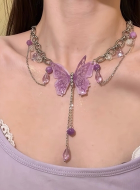 超仙紫色蝴蝶项链女款2025新款高级感轻奢小众锁骨链脖子配饰甜酷