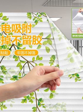 【小红书推荐】加厚防窥百叶膜