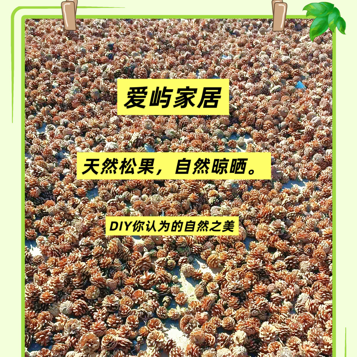 松果圣诞松塔摆件幼儿园儿童手工材料diy材料松果球手工装饰画,淘宝优惠券,粉丝福利购,淘宝优惠卷