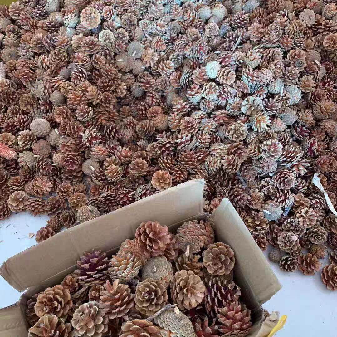 松果圣诞松塔摆件幼儿园儿童手工材料diy材料松果球手工装饰画,淘宝优惠券,粉丝福利购,淘宝优惠卷