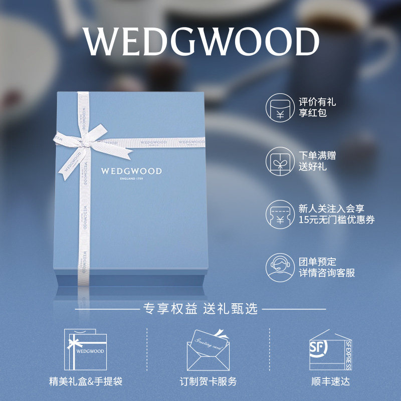 【结婚礼物】WEDGWOOD威基伍德欢愉假日陶瓷马克杯水杯对杯礼品,淘宝优惠券,粉丝福利购,淘宝优惠卷