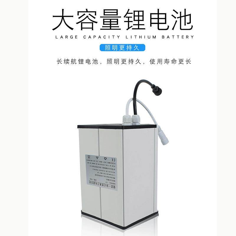 厂家新农村改造路灯6米8米特色路灯led少数民族风路灯,淘宝优惠券,粉丝福利购,淘宝优惠卷