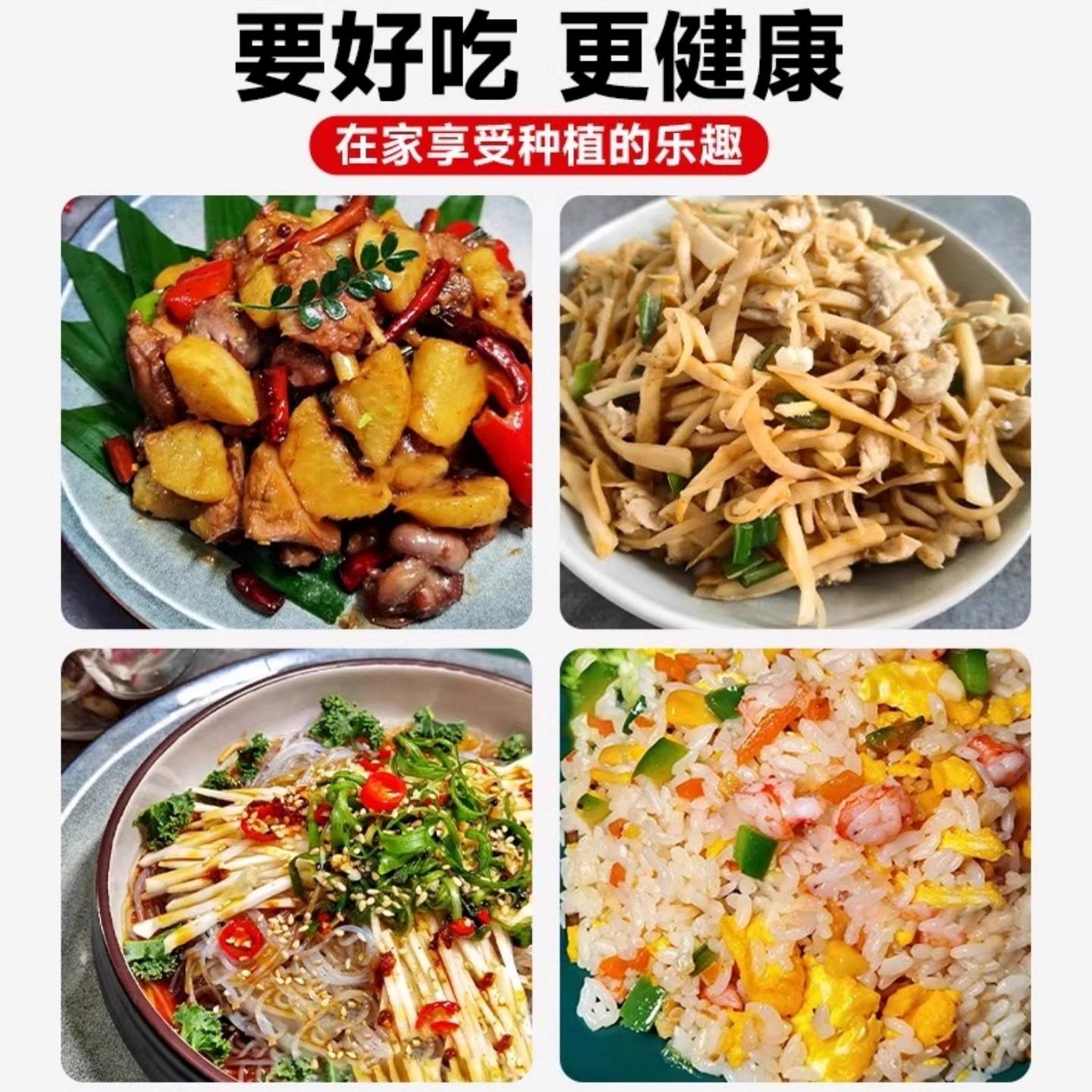 根芹球根芹疙瘩山东地中海根芹耐寒秋冬蔬菜正宗根芹老桩阳台种球,淘宝优惠券,粉丝福利购,淘宝优惠卷