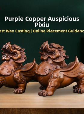 紫铜貔貅摆件公母一对纯铜天禄客厅招办公室玄关酒柜装饰品财礼品