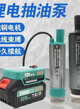 12v锂电池抽油泵两用款油水两用泵柴油泵电动抽油泵抽水泵自吸泵