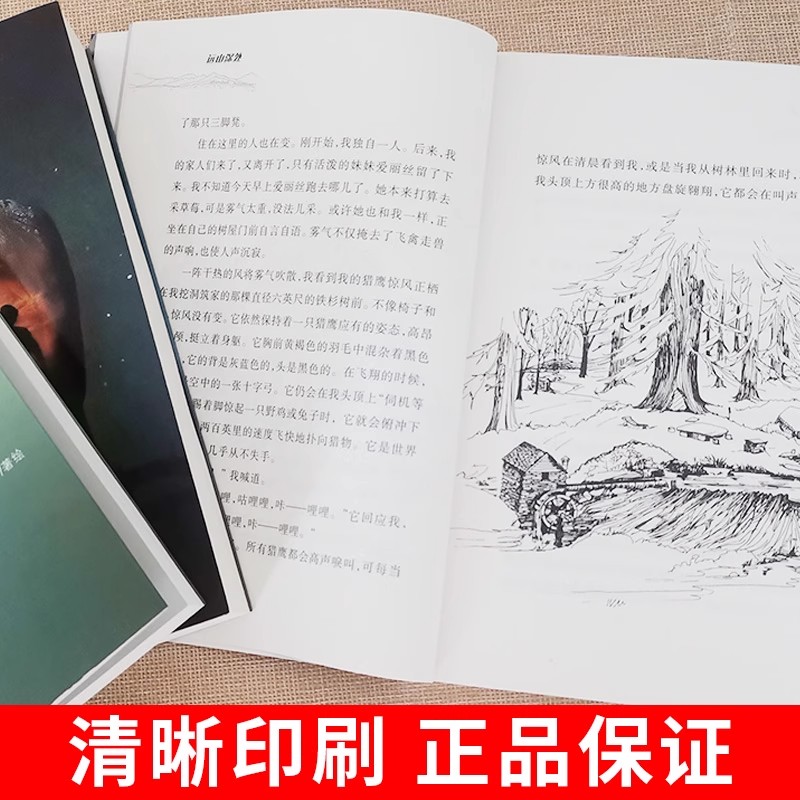 荒野生存系列小说三部曲 惊风的山 山居岁月 远山深处 新蕾出版社中小学生课外阅读书籍国际大奖纽伯瑞银奖儿童文学小说 - 图1