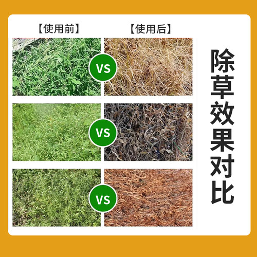 【十年不长草】正品开荒神器强力除打草烂根剂荒地杂草微生物菌肥 - 图3