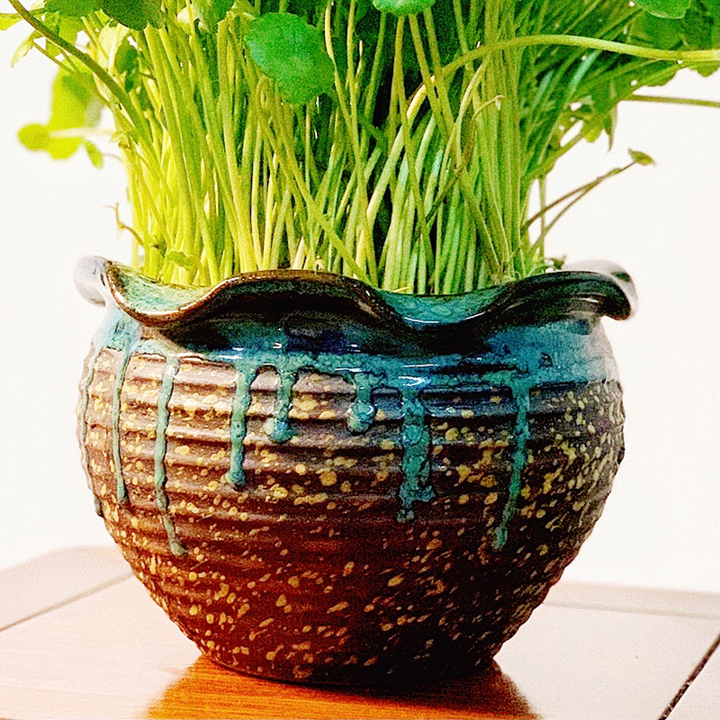 晓煜无孔水培植物陶瓷大号花盆古典铜钱草碗莲多肉植物盆地面包邮 - 图1