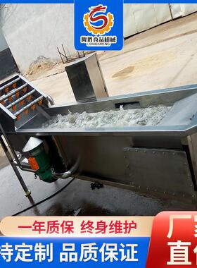 隆胜油麦菜涡流清洗线果蔬翻滚式气泡清洗机商用大型食堂洗菜机