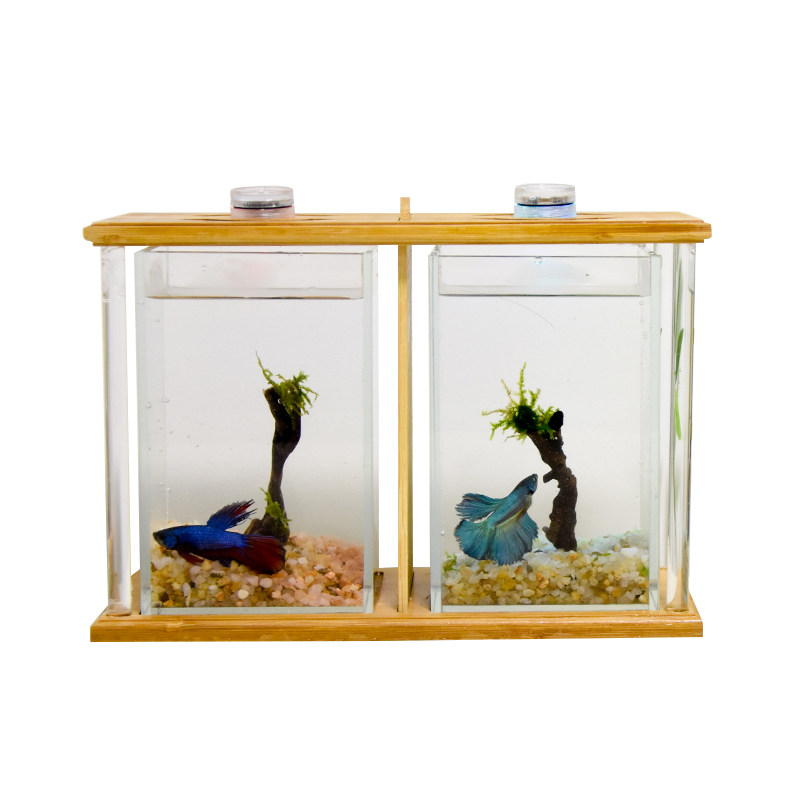 斗鱼专用缸双缸 办公室宿舍客厅桌面超白小型生态微景双格斗鱼缸,淘宝优惠券,粉丝福利购,淘宝优惠卷