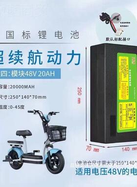 锂邦荣 盛新日电池锂离子小型大容量雅迪天能超威 深远用Wlyyds10