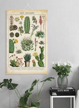 仙人掌植物图鉴挂轴画 客厅卷轴画玄关挂画装饰画中古风