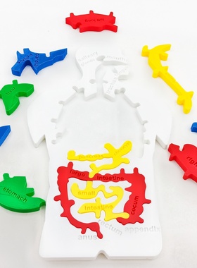 3D打印创意益智类拼图人体消化道模型边学习边玩的拼图玩具摆件