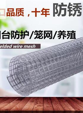 镀锌铁丝网围栏防鼠网防护网钢丝网小孔铁网片养殖网家用铁丝网格