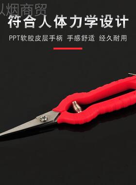 帝创不稀锈003654尖头果摘钢园果剪采摘水果葡萄果剪刀修枝果枝树