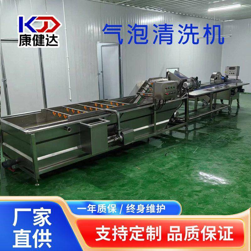 蔬菜鼓泡翻浪清洗设备洗菜洗果机水循环喷淋式果蔬气泡清洗机 - 图2