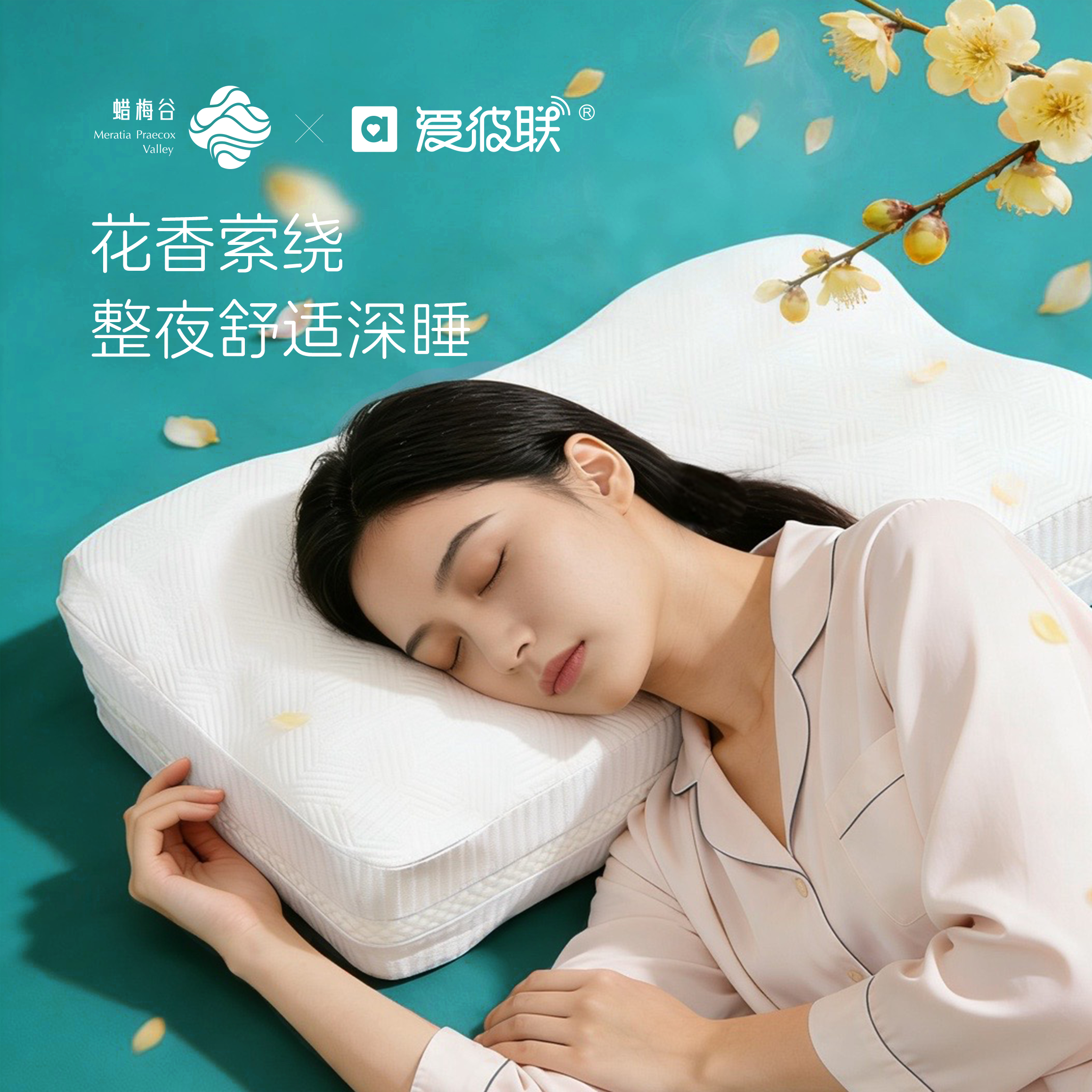 软FUFU花香枕[蜡梅谷X爱彼联] 生物基0压绵 安睡梅烦恼,淘宝优惠券,粉丝福利购,淘宝优惠卷