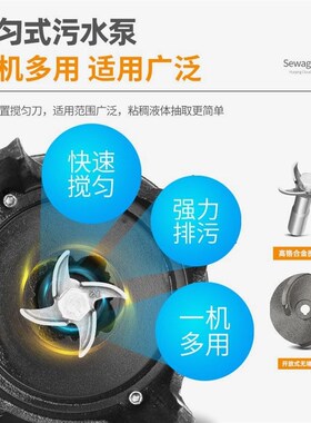 德国进口沼气池厕所抽泥沙无堵塞污水抽粪水泵小型养殖场清家用抽