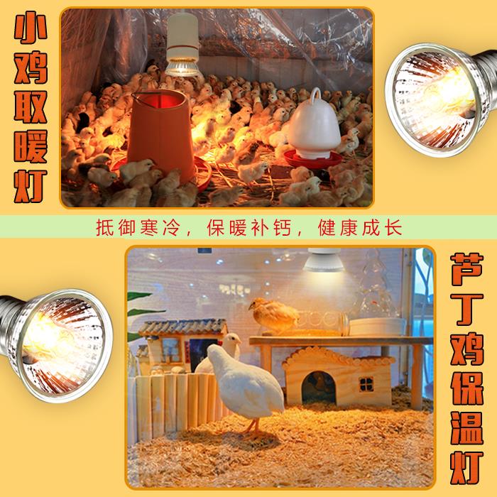乌龟晒背灯uva+uvb全光谱太阳灯芦丁鸡保温灯宠物爬虫饲养箱 - 图1