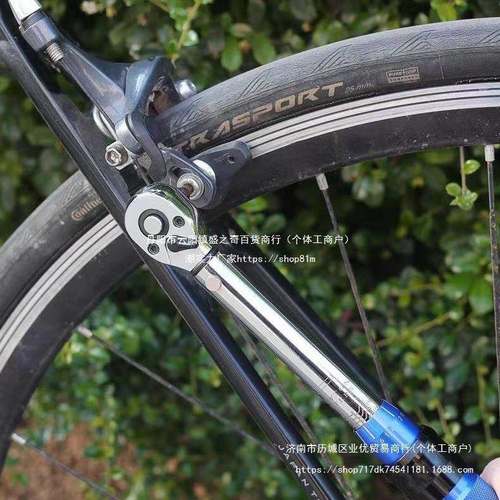 EPR置式可调式维扭力公斤预扳手高精度力矩自行车内六角工修具装 - 图0