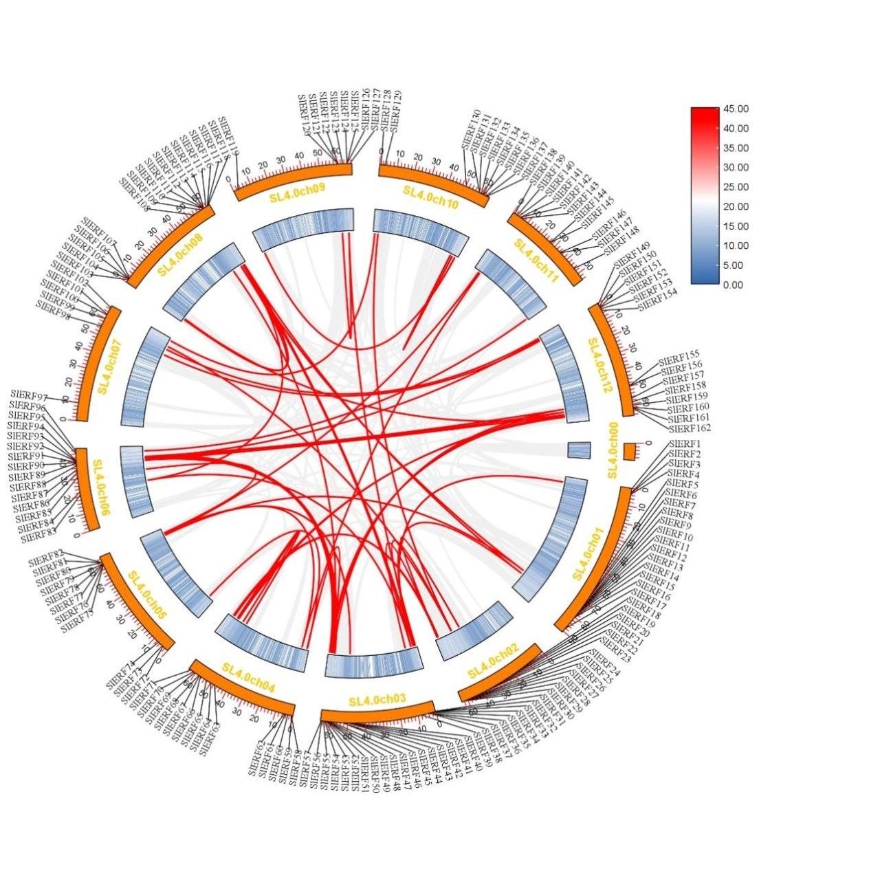 代谢通路富集空间代谢组特色分析,淘宝优惠券,粉丝福利购,淘宝优惠卷