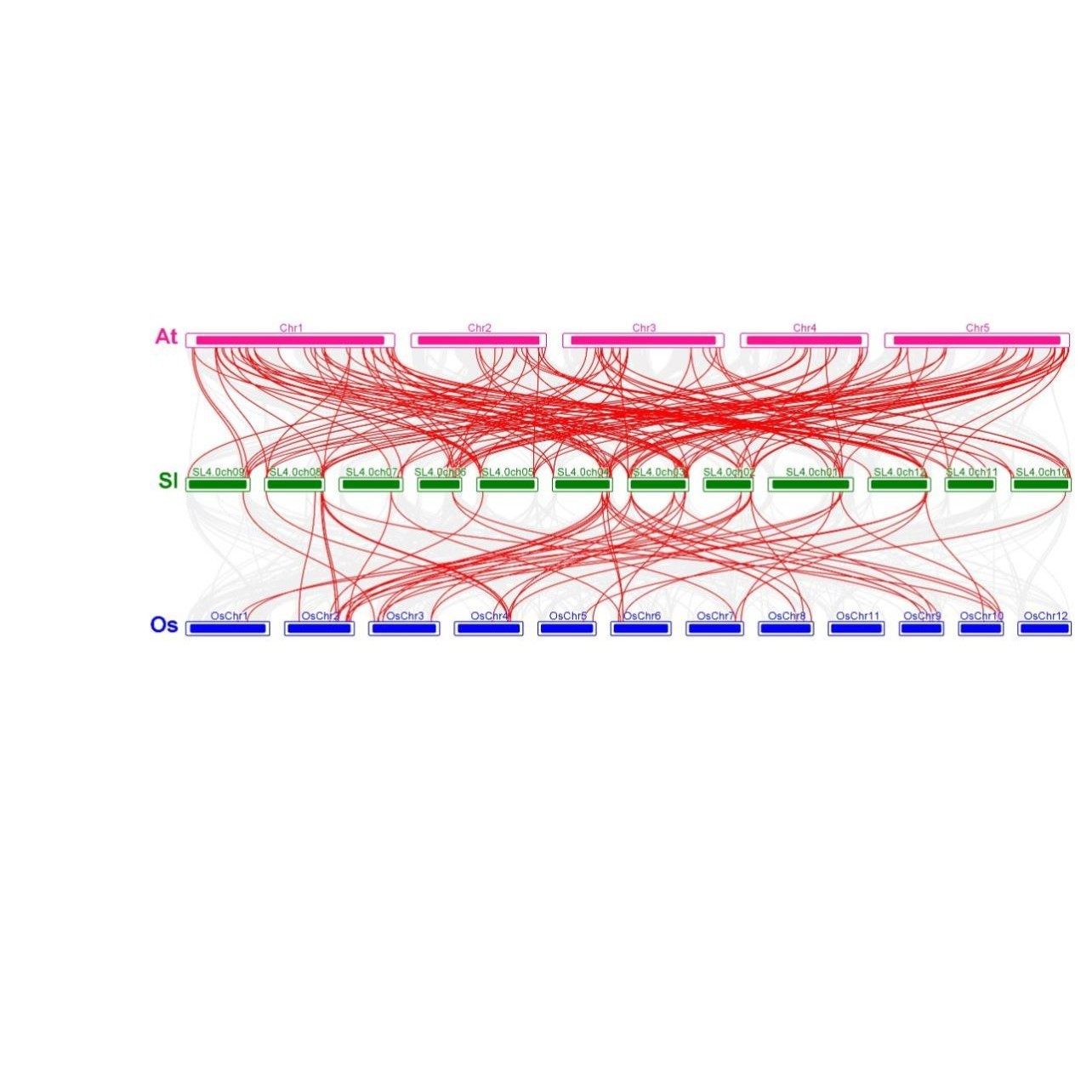 代谢通路富集空间代谢组特色分析,淘宝优惠券,粉丝福利购,淘宝优惠卷