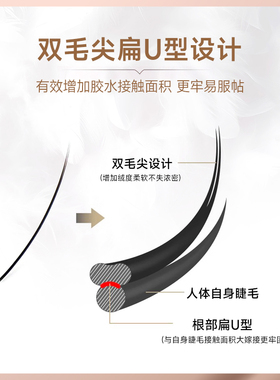 【品质稳定】双毛尖单根扁毛嫁接