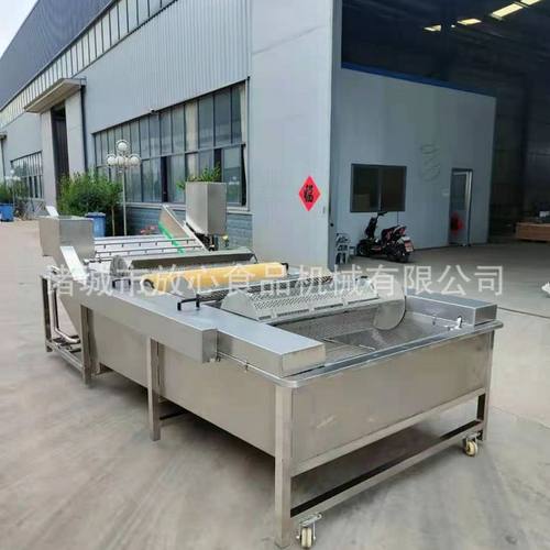 刀鱼清洗机 带鱼清洗机 不锈钢海鲜清洗机定做 全自动清洗机 - 图2