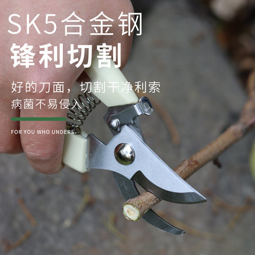 花剪园艺剪刀插花修枝剪省力修剪树枝果树竹签花卉专用花艺剪剪子 - 图2