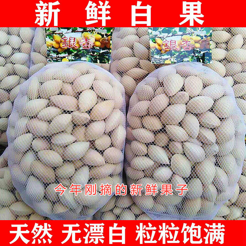 2025年新鲜白果银杏果1-5斤装包邮无漂白生百果大佛指带壳银杏仁 - 图1