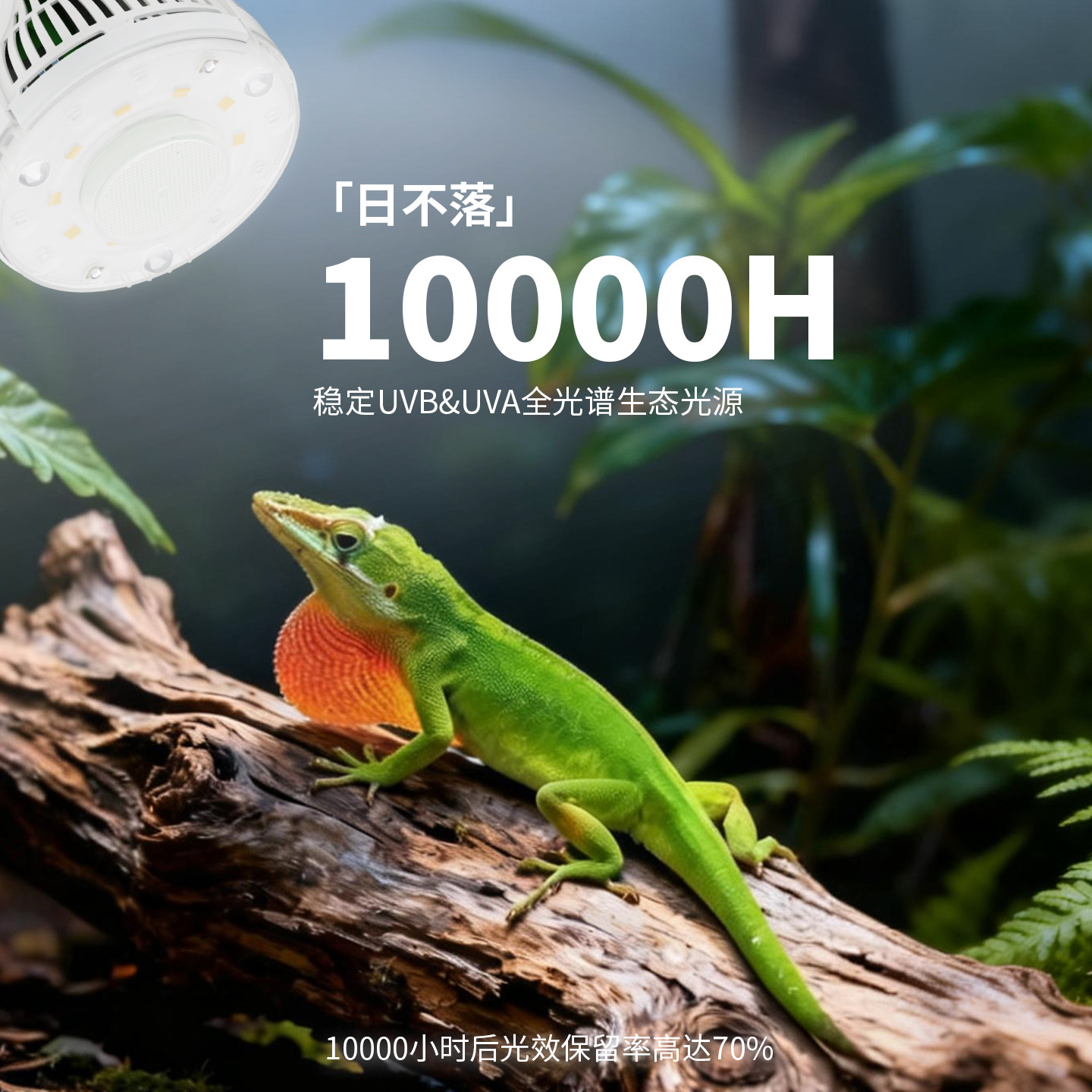 三思全光谱补钙爬宠物灯uvb乌龟晒背灯uva蜥蜴太阳灯龟缸爬虫灯泡,淘宝优惠券,粉丝福利购,淘宝优惠卷