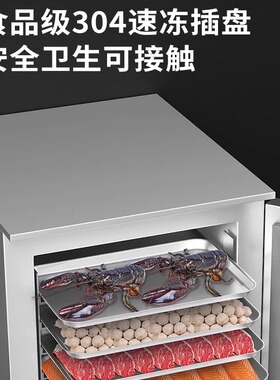 【品质商用】松用插盘速冻冷柜