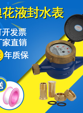 连云港浪花家用水表防带止回阀防冻坏防起雾液封高灵敏水表