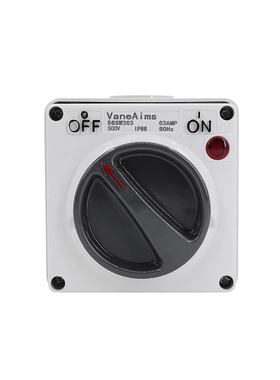 三相户外防水开关63A防雨电源旋钮带灯室外工业开关380V220V IP66