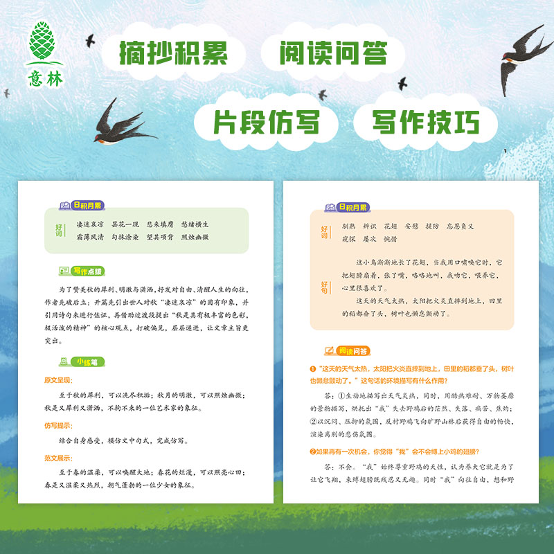 图5