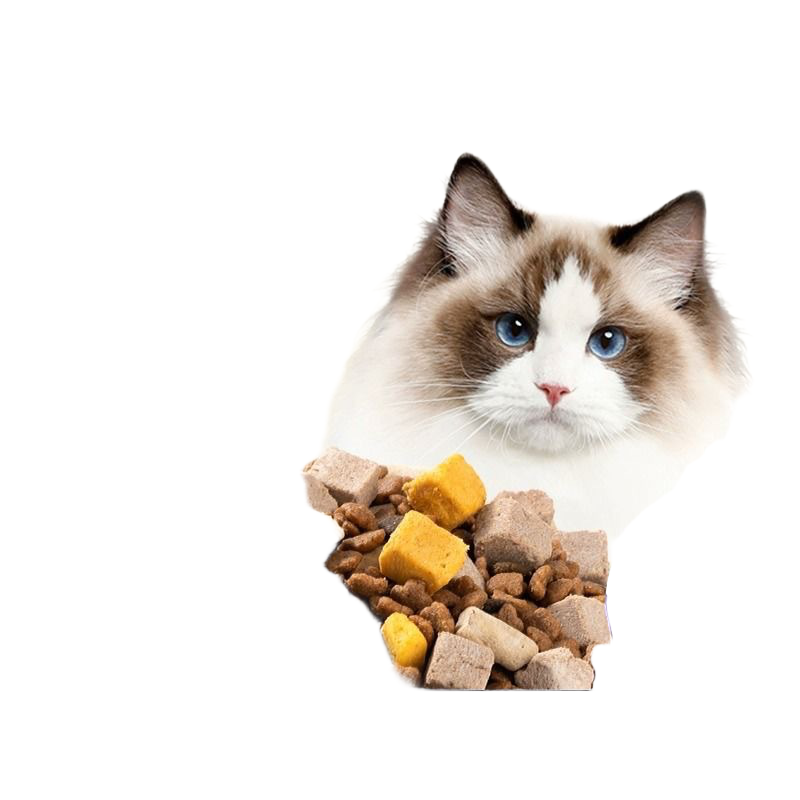 全猫专用猫粮10斤实惠装成猫幼猫冻干全价均衡营养长流浪猫食土猫,淘宝优惠券,粉丝福利购,淘宝优惠卷