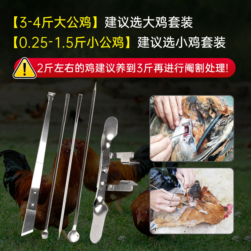 牧洋洋不锈钢专业阉鸡工具全套阉鸡大鸡小鸡快速阉鸡器公鸡阉割刀,淘宝优惠券,粉丝福利购,淘宝优惠卷