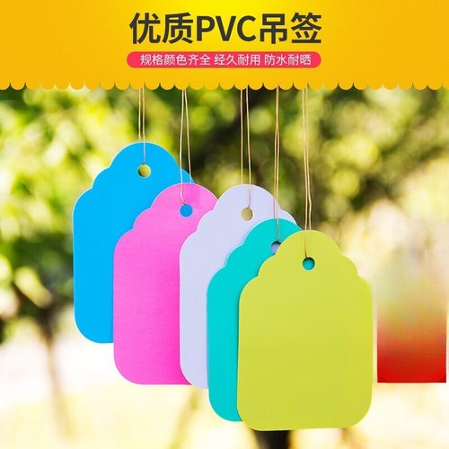 100张PVC彩色塑料植物吊签牌花卉园艺盆栽小挂牌苗木吊牌多肉标签 - 图3