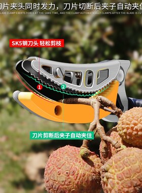 摘水果摘荔枝枇杷樱桃高枝剪伸缩高空剪采摘果子神器加长果树剪刀