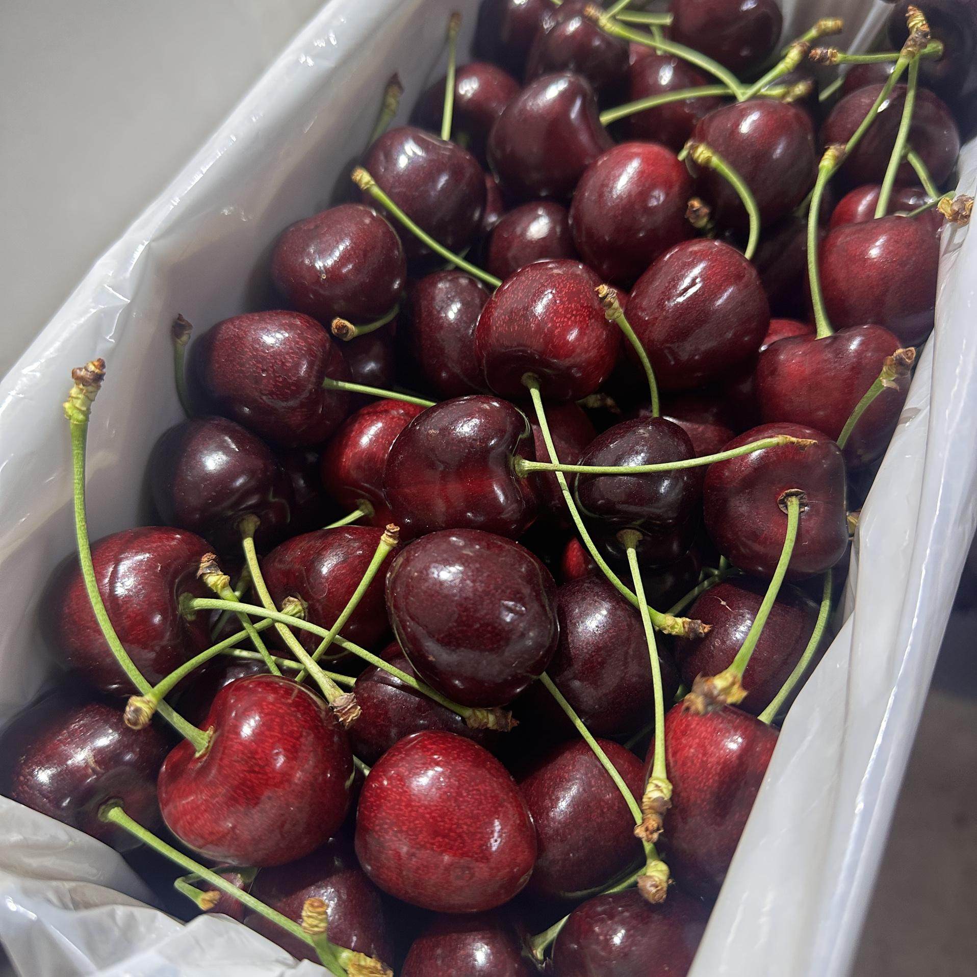 新西兰车厘子空运Kordia科迪亚黑车新鲜脆甜水果原箱礼盒樱桃,淘宝优惠券,粉丝福利购,淘宝优惠卷