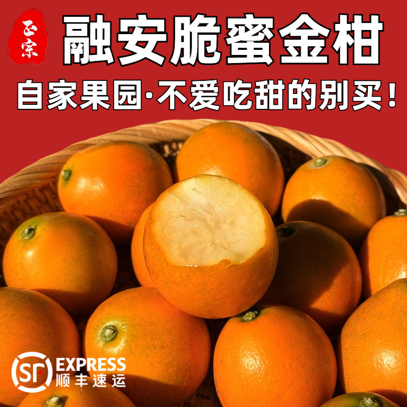 正宗广西融安脆蜜金柑礼盒装第三代融安金桔现摘新鲜纯甜无核桔子,淘宝优惠券,粉丝福利购,淘宝优惠卷