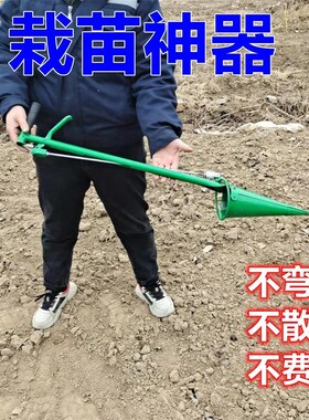 栽苗神器种菜蔬菜大棚全套补苗栽苗器移苗种烟苗辣椒栽菜农用工具