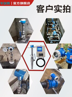 智能电磁流量计插入分体式大口径专用污水泥沙浆液体流量表DN250