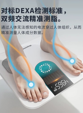 德国光能体脂秤减肥专用多功能秤