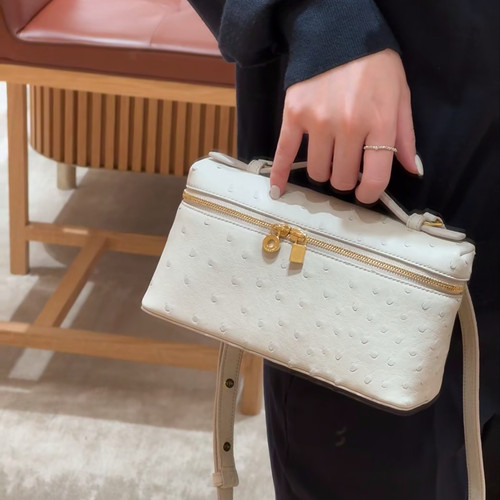 lp19饭盒包鸵鸟纹真皮手提盒子包女小方包高级感单肩斜挎化妆包 - 图1