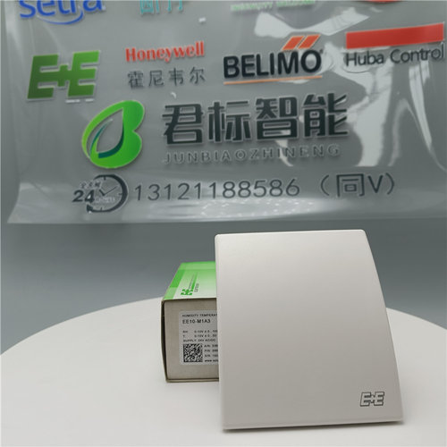 益加义EE10-FT6-T04/-FT3-T04 EE10-M1A6/-M1A3 室内温湿度传感器 - 图0