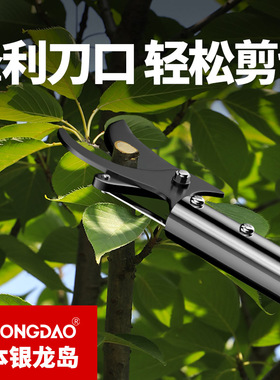 高枝剪修剪树枝专用剪刀伸缩加长杆园艺果树高空剪枝长柄摘果神器