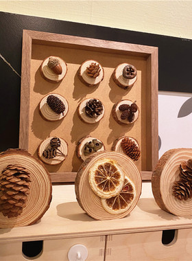侘寂风天然干果圆木片桌面摆件店铺陈列咖啡店手工装饰幼儿园环创