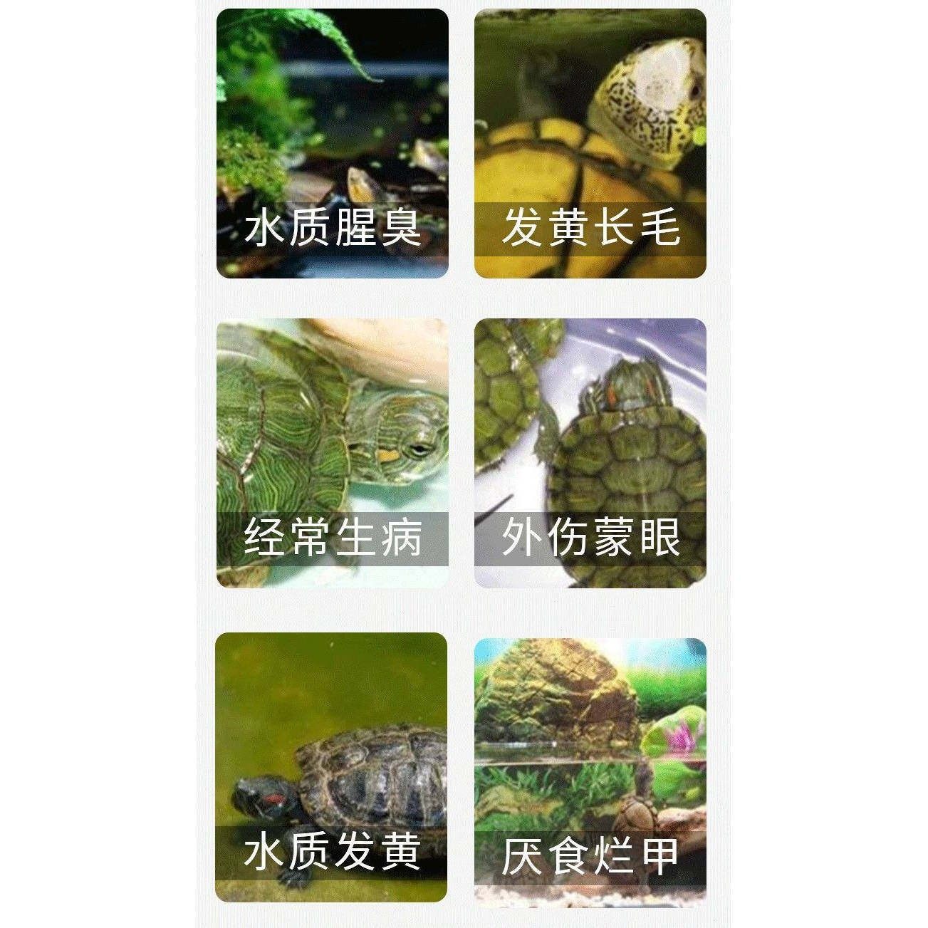 【万能药】护龟片乌龟水产养殖腐皮烂甲白眼病厌食净化水质保健,淘宝优惠券,粉丝福利购,淘宝优惠卷
